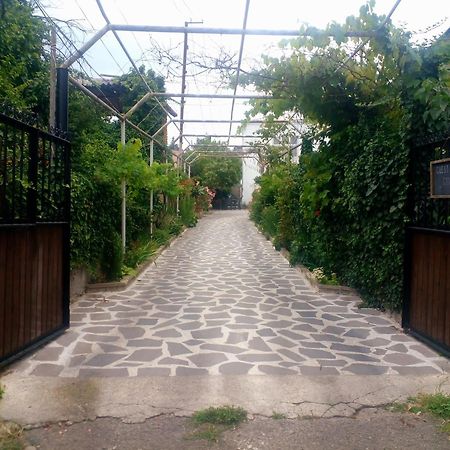Guesthouse Giorgi Telavi Buitenkant foto